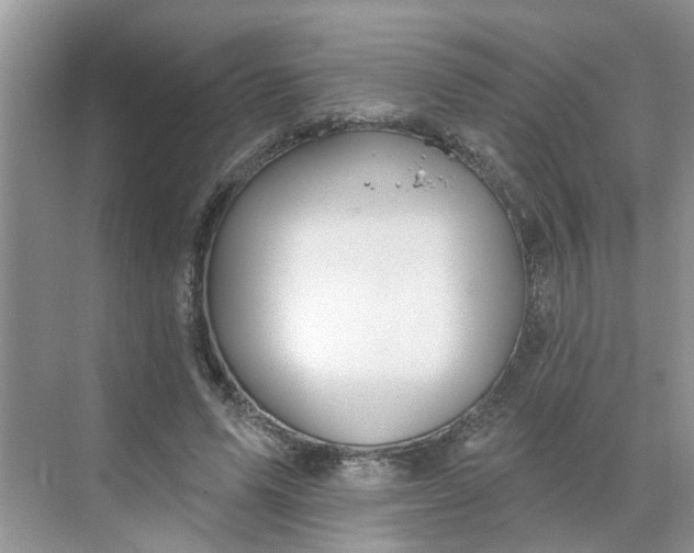 X0000068740591200605121546