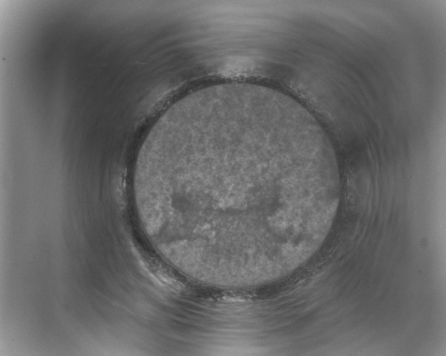 X0000068740592200605121546