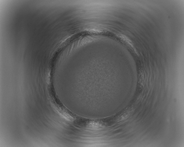 X0000068740596200605121546