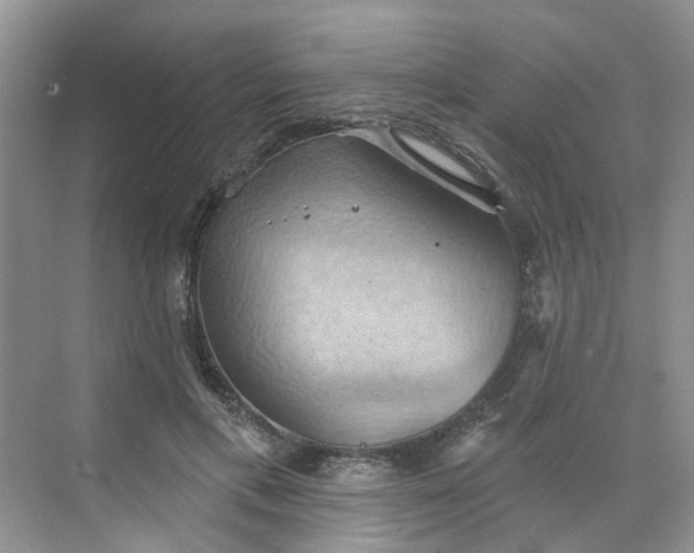 X0000068740597200605121546