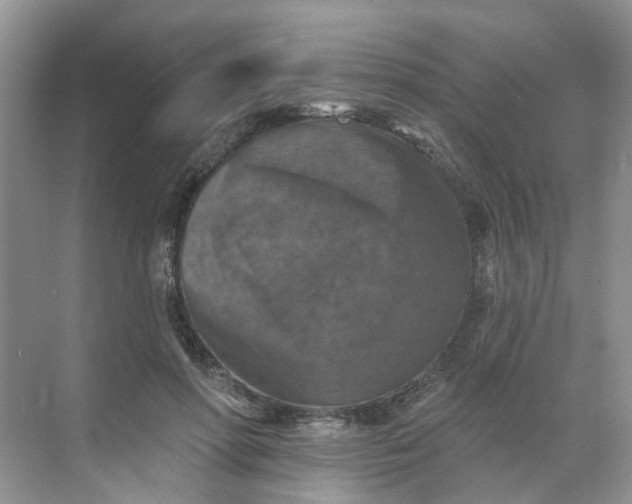 X0000068740598200605121546