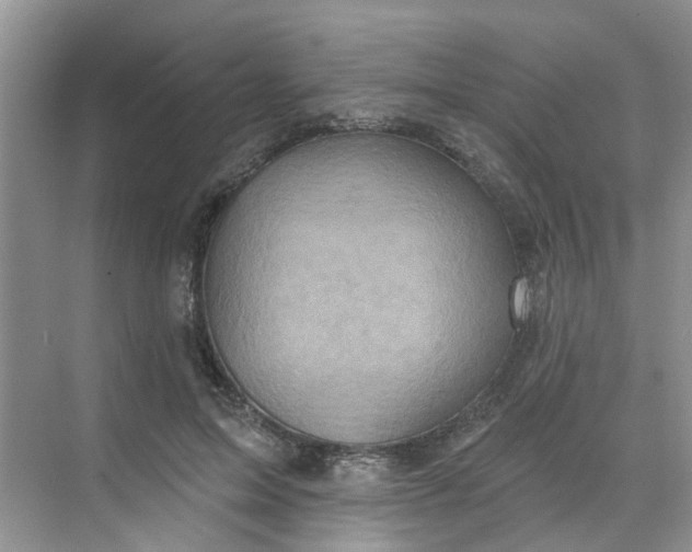 X0000068740599200605121546