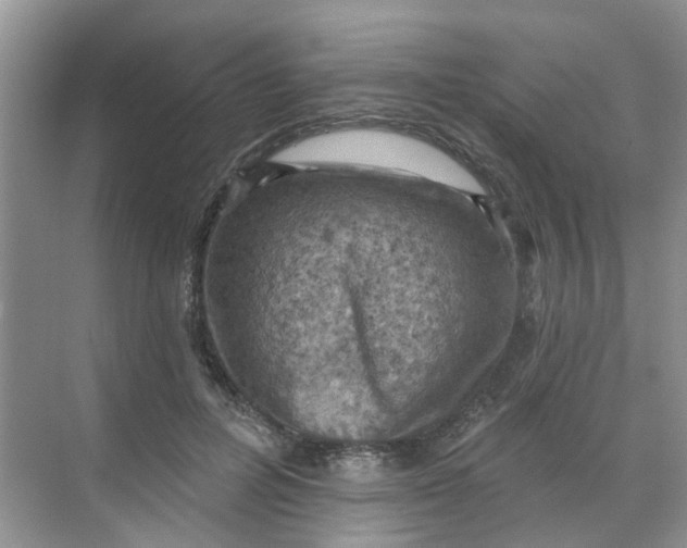 X0000068740600200605121546