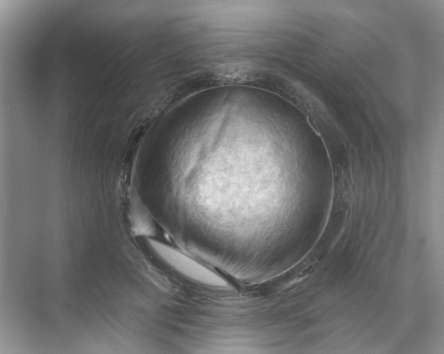 X0000068740601200605121546