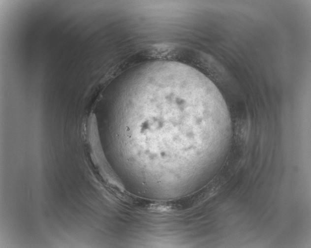 X0000068740602200605121546