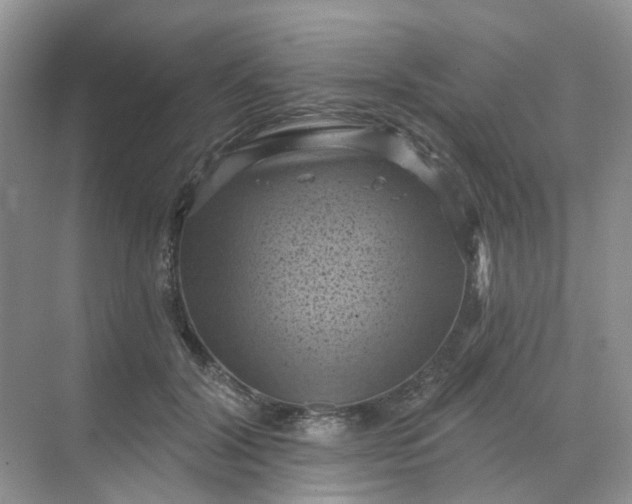 X0000068740604200605121546