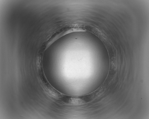 X0000068740605200605121546