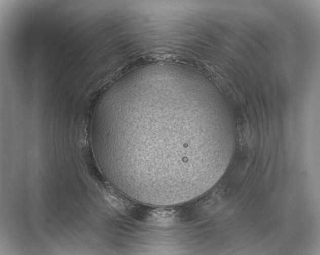 X0000068740606200605121546