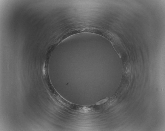 X0000068740607200605121546