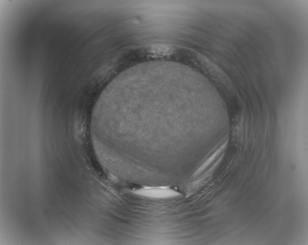 X0000068740608200605121546