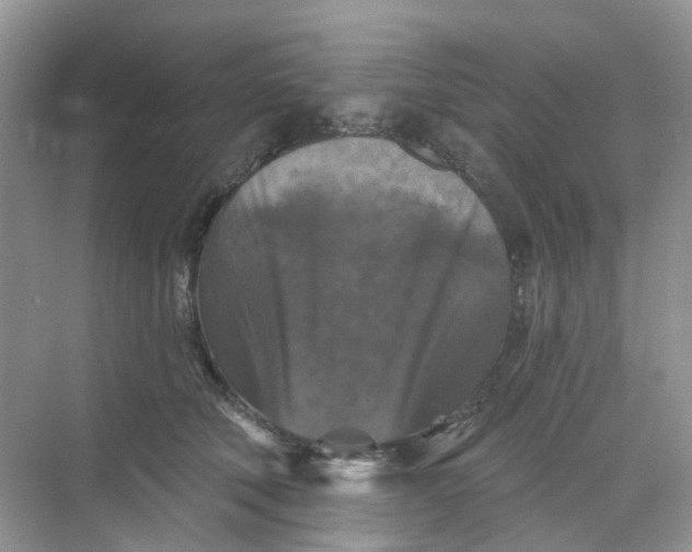 X0000068740610200605121546