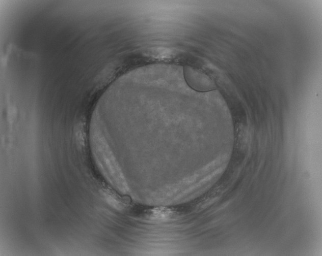 X0000068740612200605121545