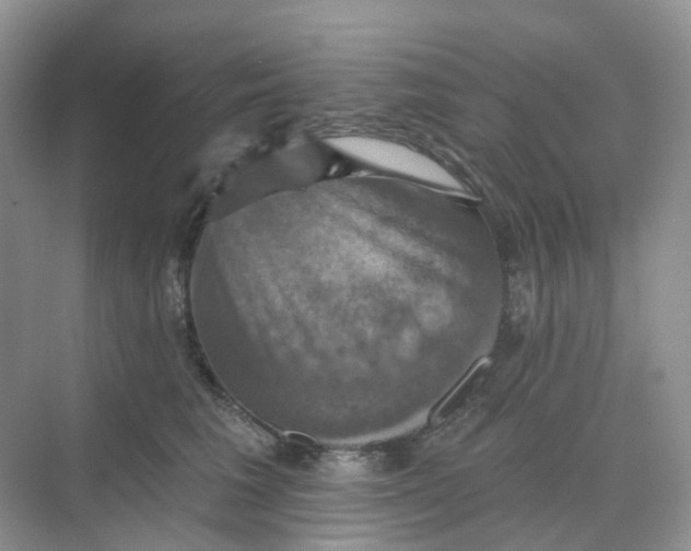 X0000068740613200605121545