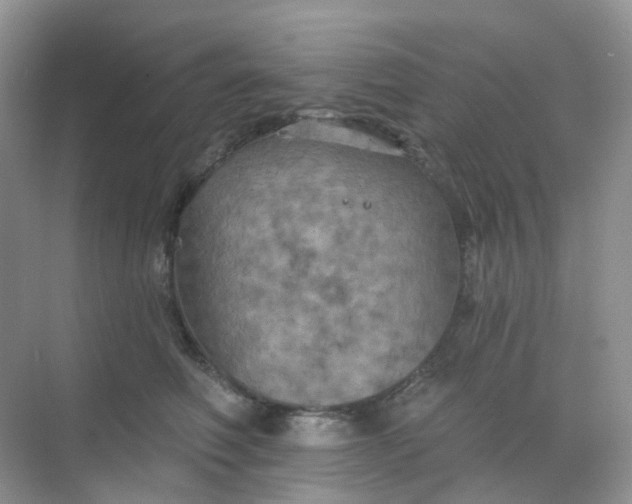 X0000068740614200605121545