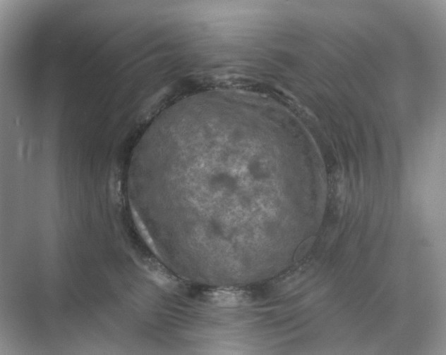 X0000068740615200605121545