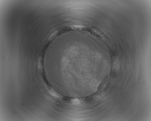 X0000068740616200605121545