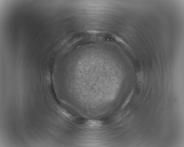 X0000068740617200605121545