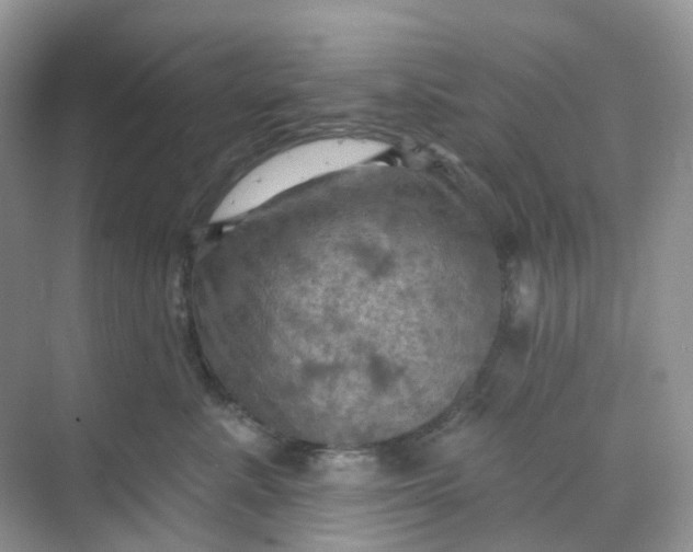 X0000068740619200605121545