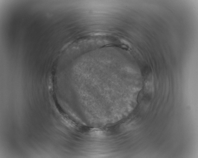 X0000068740620200605121545