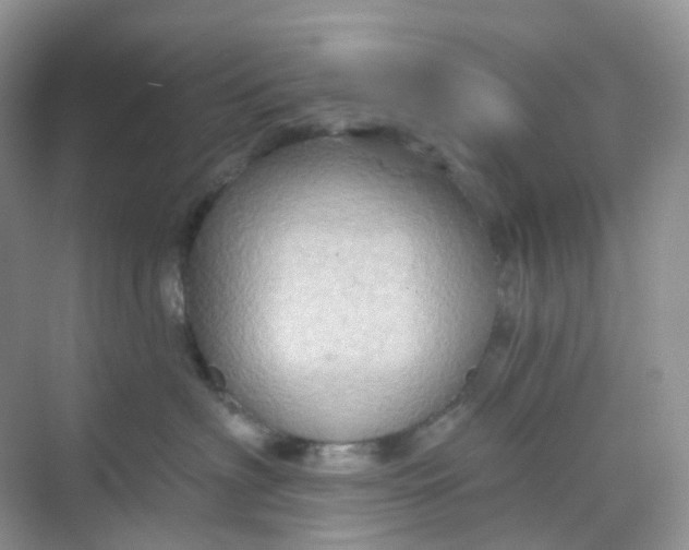 X0000068740622200605121545