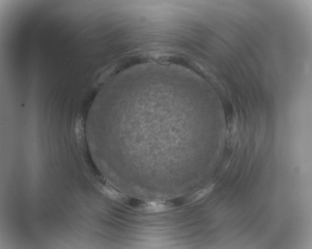 X0000068740623200605121545