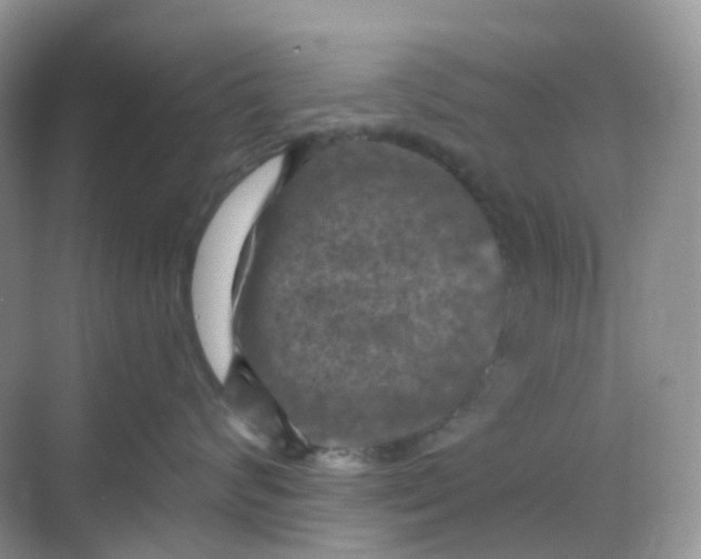 X0000068740624200605121545