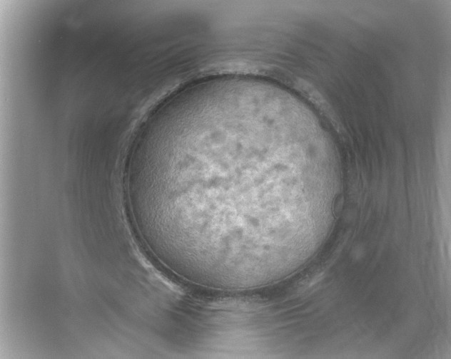 X0000068740625200605121544