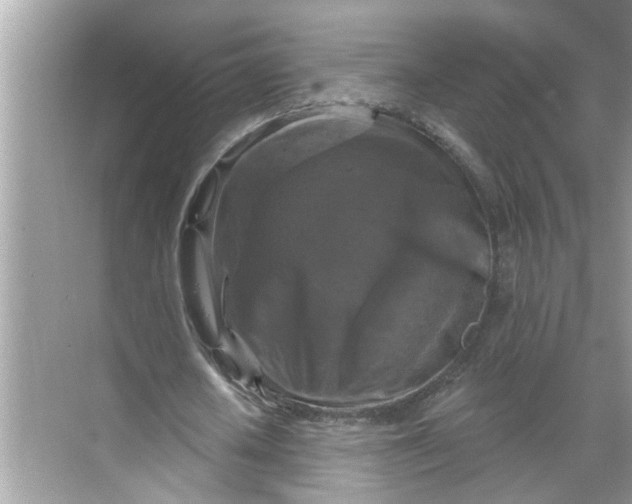 X0000068740626200605121545