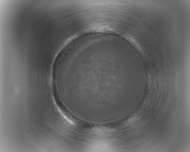 X0000068740630200605121545