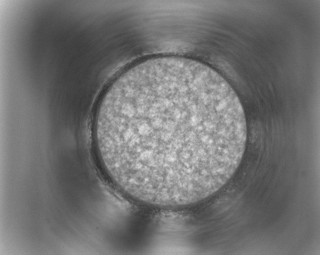 X0000068740632200605121545