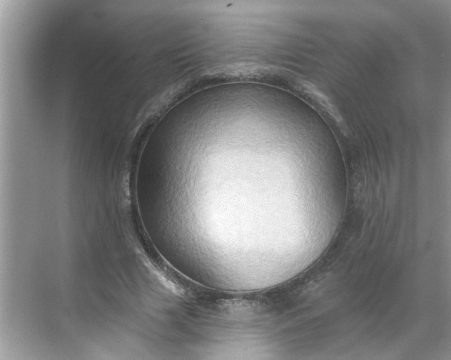 X0000068740633200605121545