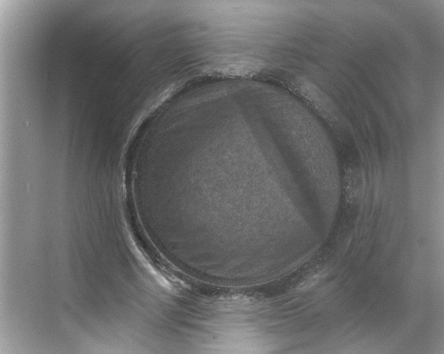 X0000068740634200605121545