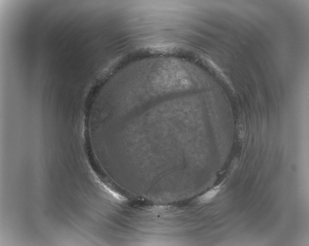 X0000068740637200605121545