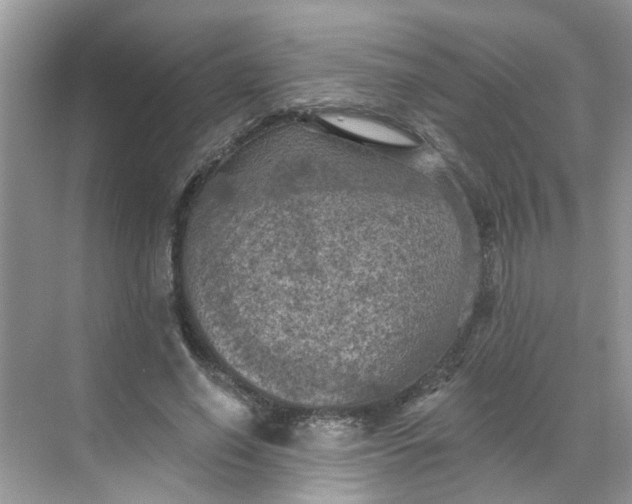 X0000068740638200605121545