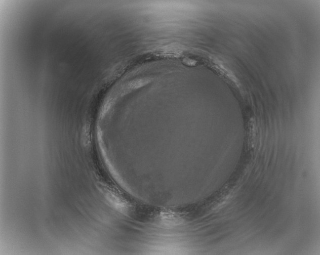 X0000068740641200605121545