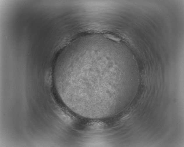 X0000068740642200605121545