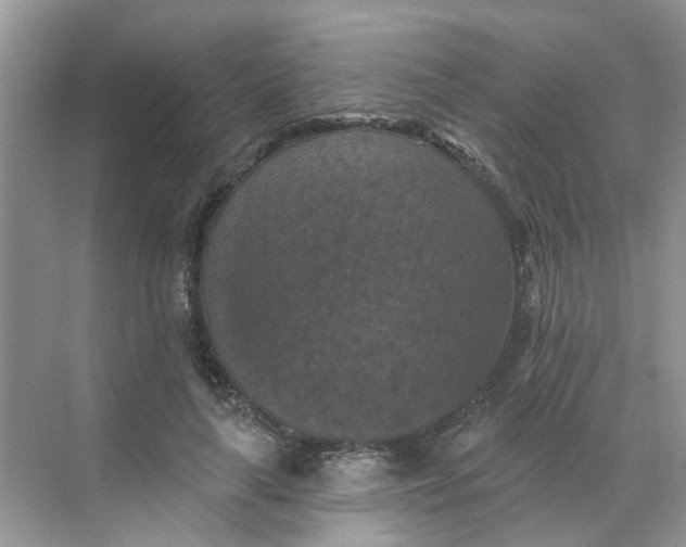 X0000068740643200605121545