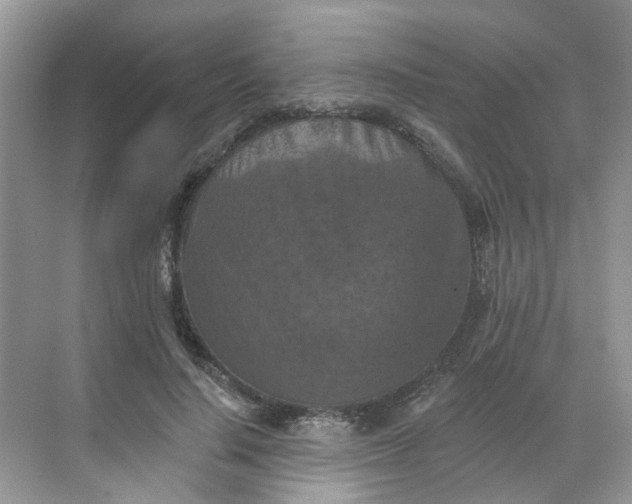 X0000068740644200605121545