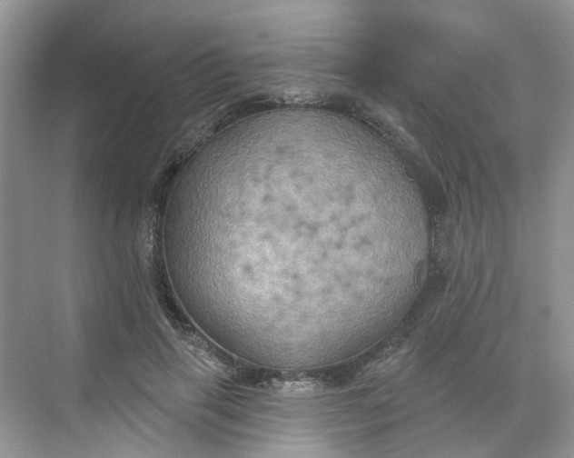 X0000068740645200605121545