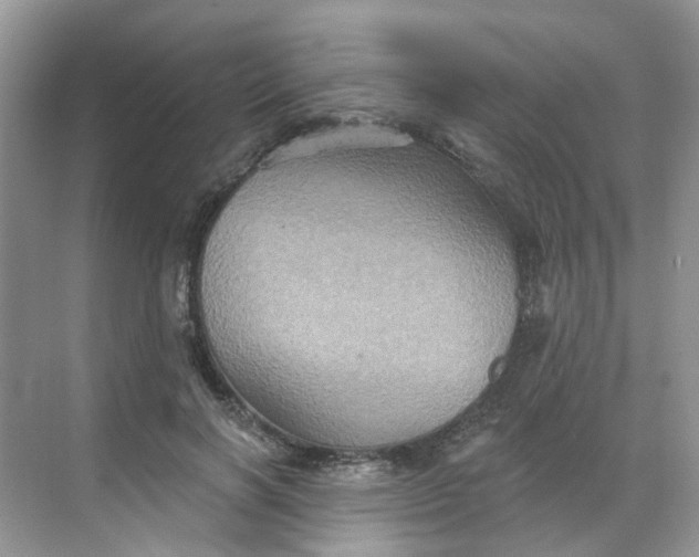 X0000068740646200605121545