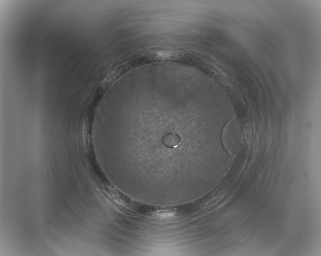 X0000068740651200605121545