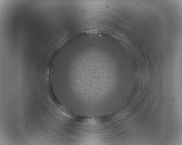 X0000068740652200605121545