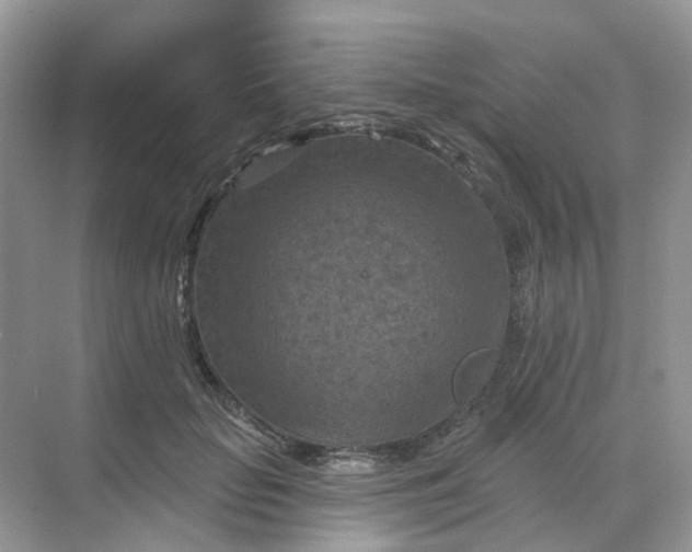 X0000068740653200605121545