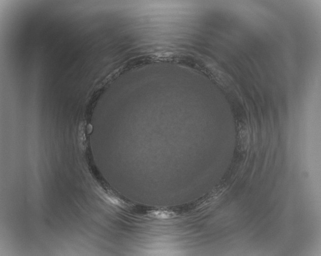 X0000068740654200605121545