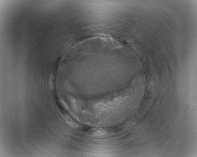 X0000068740658200605121545