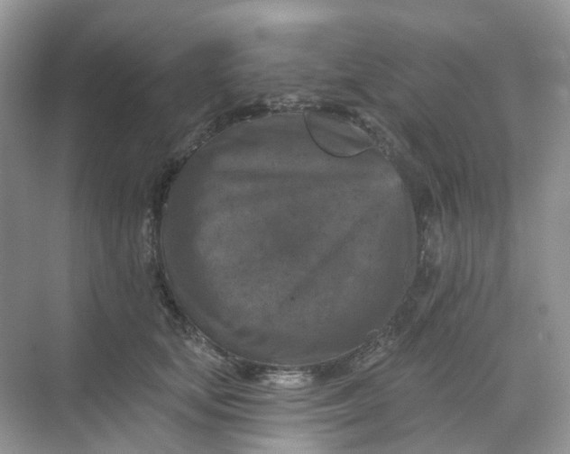 X0000068740659200605121545