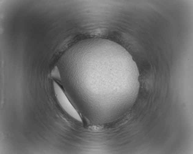 X0000068740660200605121545