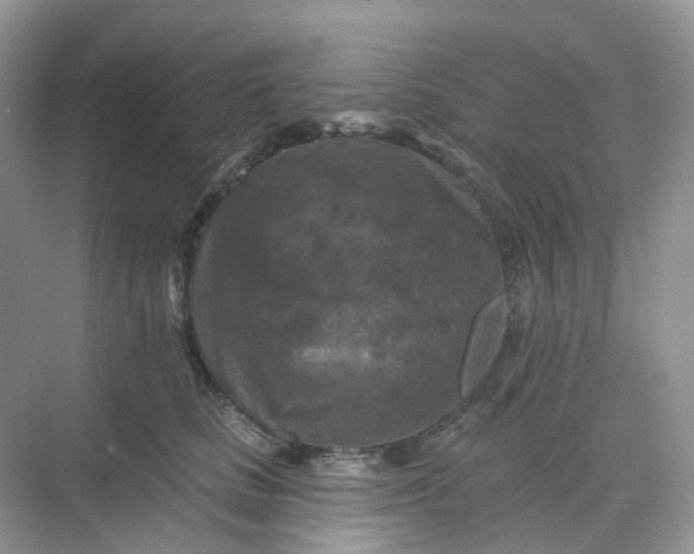 X0000068740661200605121545