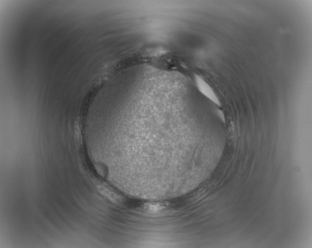 X0000068740662200605121545