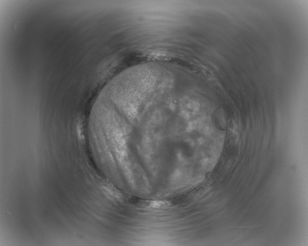 X0000068740663200605121545